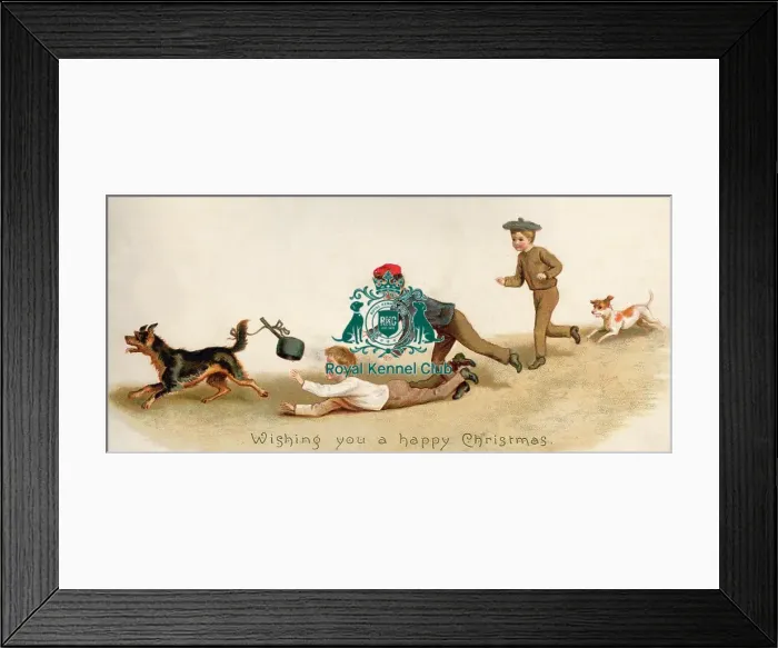 Framed Print : Celia Haddon Collection