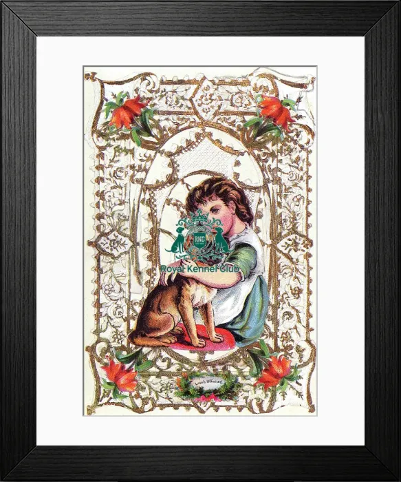 Framed Print : Celia Haddon Collection