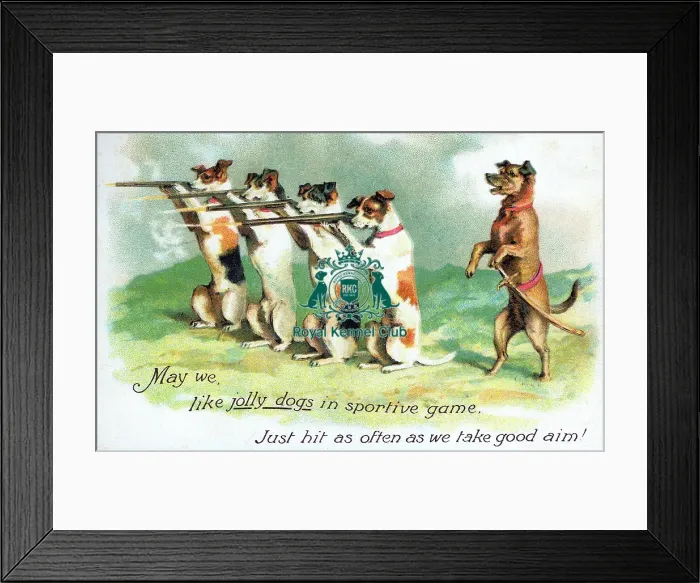 Framed Print : Celia Haddon Collection