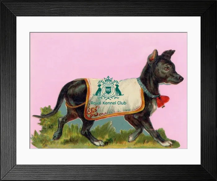 Framed Print : Celia Haddon Collection