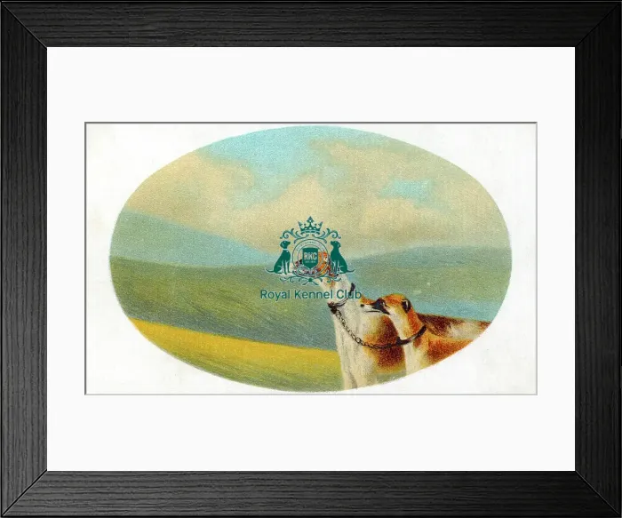 Framed Print : Celia Haddon Collection