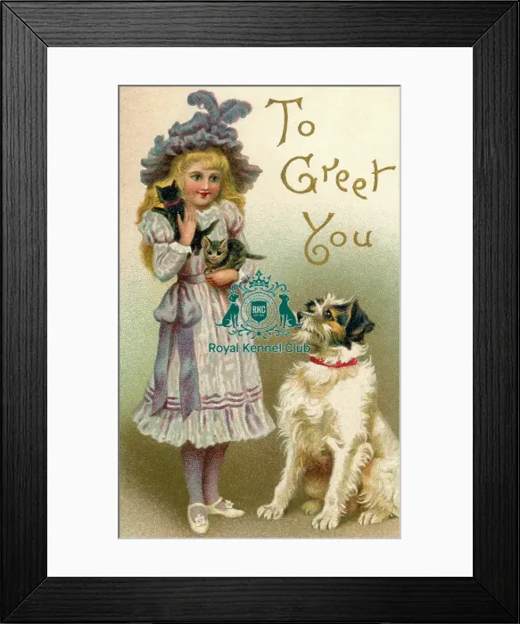 Framed Print : Celia Haddon Collection