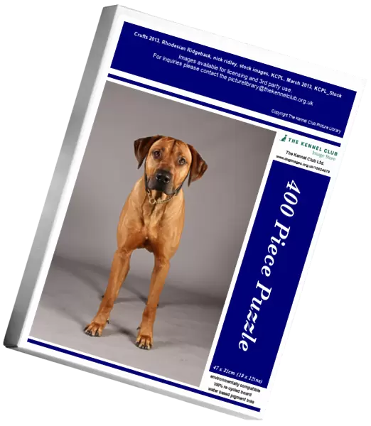 Crufts 2013, Rhodesian Ridgeback, nick ridley, stock images, KCPL, March 2013, KCPL_Stock