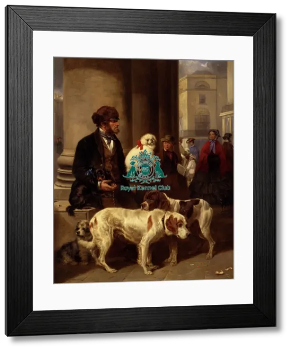 Framed Print : Buy A Dog Ma am Framed Print : Buy A Dog Ma am