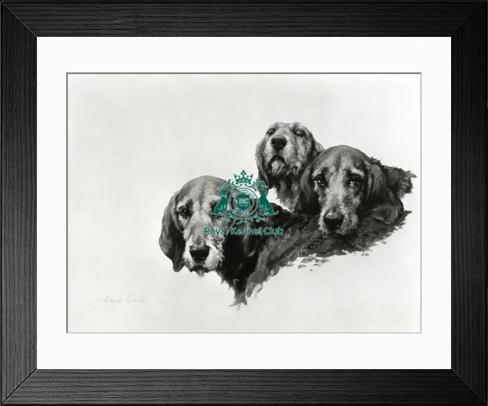 Framed Print : Ancient Britons