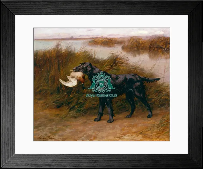 Framed Print : Ch Wimpole Peter Framed Print : Ch Wimpole Peter