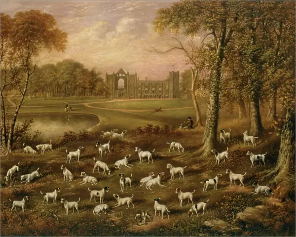 Fox Terriers at Newstead Abbey