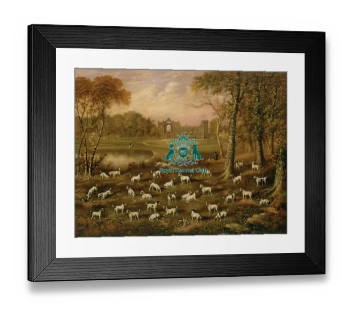 Framed Print : Fox Terriers at Newstead Abbey Framed Print : Fox Terriers at Newstead Abbey