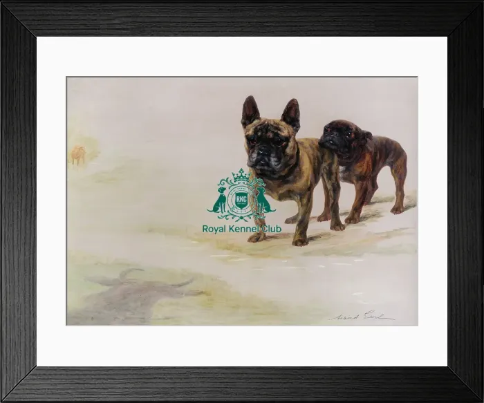 Framed Print : England Expects Framed Print : England Expects