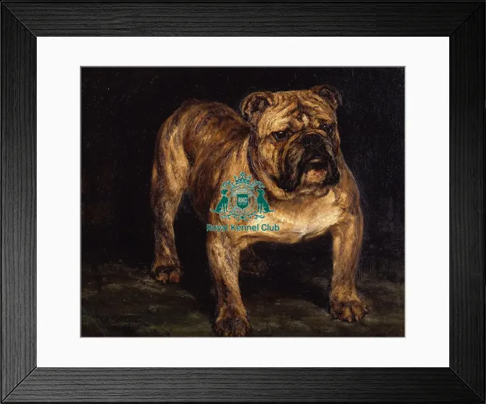 Framed Print : Ch Tintagel Framed Print : Ch Tintagel