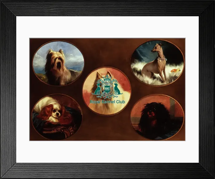 Framed Print : Champion Dogs of England Framed Print : Champion Dogs of England