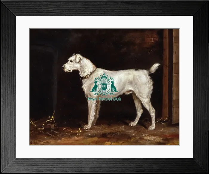 Framed Print : Cheroot. Canvas 12.5 x 16.5 ins, signed. Cheroot was born in 1886 Framed Print : Cheroot. Canvas 12.5 x 16.5 ins, signed. Cheroot was born in 1886