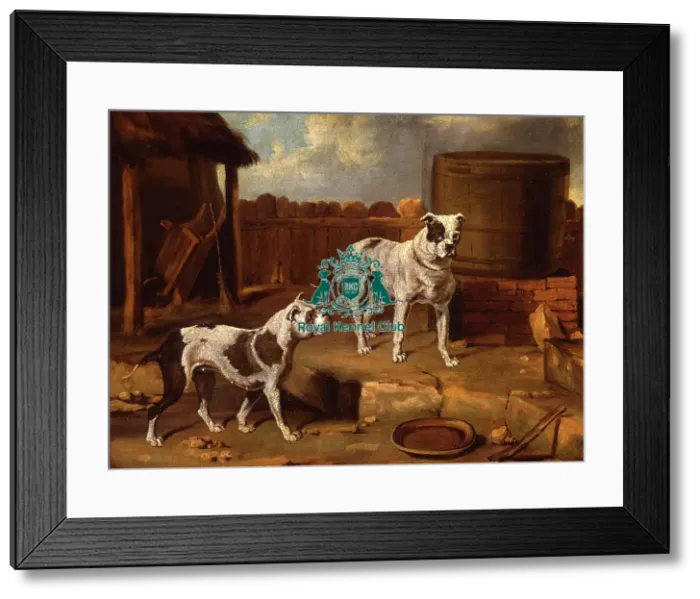 Framed Print : Crib and Rosa Framed Print : Crib and Rosa