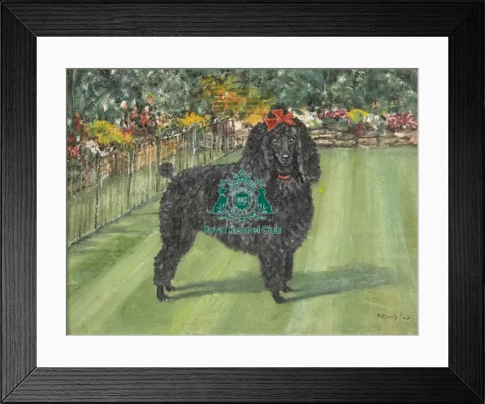 Framed Print : poodle, Artwork, oil, painting, outside, grass Framed Print : poodle, Artwork, oil, painting, outside, grass