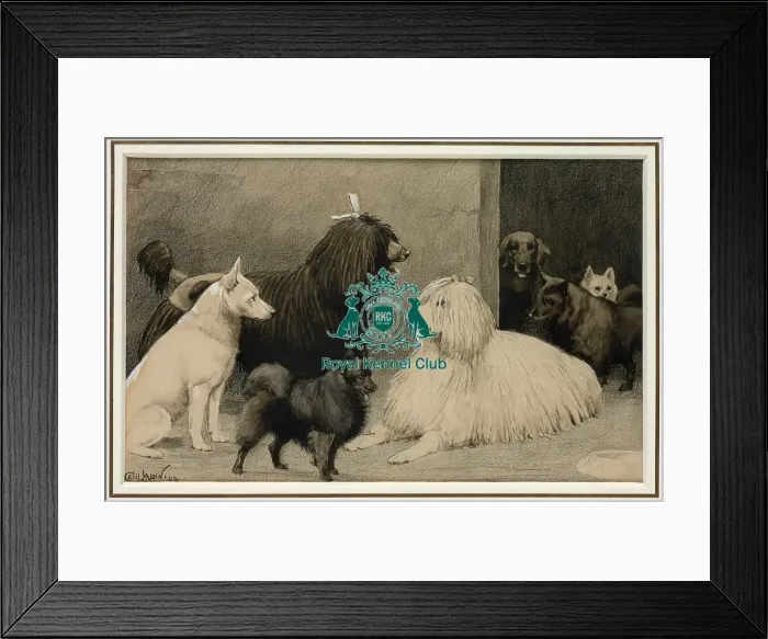 Framed Print : Crufts, Agricultural Hall, 1893 Framed Print : Crufts, Agricultural Hall, 1893