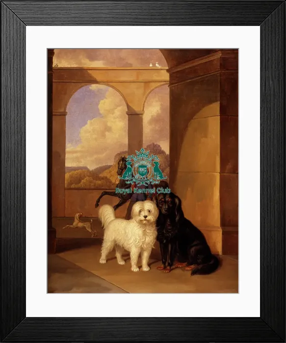 Framed Print : running, two, Artwork, oil, painting, two dogs, horse, historical Framed Print : running, two, Artwork, oil, painting, two dogs, horse, historical