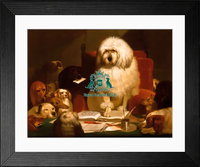 Framed Print : Laying Down the Law Framed Print : Laying Down the Law
