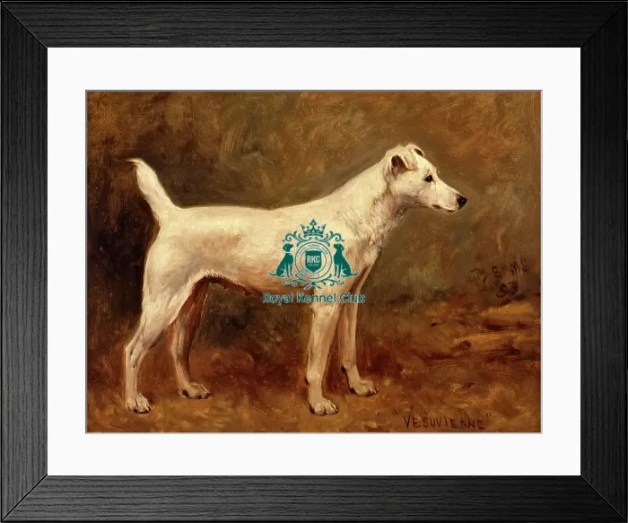 Framed Print : Vesuvienne Framed Print : Vesuvienne