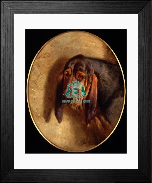 Framed Print : Ch Bardolph Framed Print : Ch Bardolph