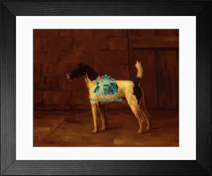 Framed Print : Ch Oxonian