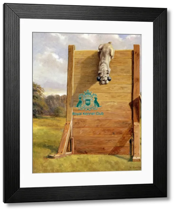 Framed Print : Brenda of Ashways Framed Print : Brenda of Ashways