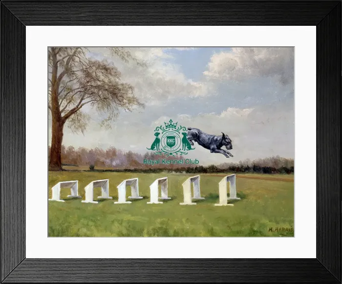 Framed Print : Titus of Ashways Framed Print : Titus of Ashways