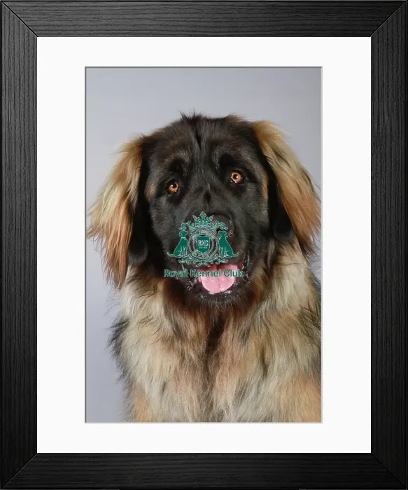 Framed Print : stock images, stock, KCPL, KCPL_Stock, commerical Framed Print : stock images, stock, KCPL, KCPL_Stock, commerical