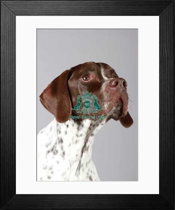 Framed Print : stock images, stock, KCPL, KCPL_Stock, commerical Framed Print : stock images, stock, KCPL, KCPL_Stock, commerical