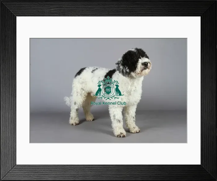 Framed Print : stock images, stock, KCPL, KCPL_Stock, commerical