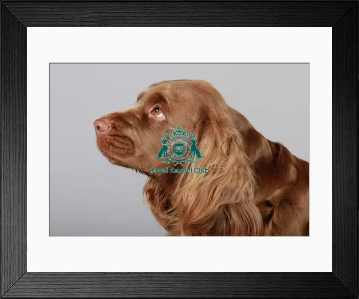 Framed Print : stock images, stock, KCPL, KCPL_Stock, commerical Framed Print : stock images, stock, KCPL, KCPL_Stock, commerical