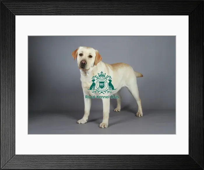 Framed Print : stock images, stock, KCPL, KCPL_Stock, commerical Framed Print : stock images, stock, KCPL, KCPL_Stock, commerical
