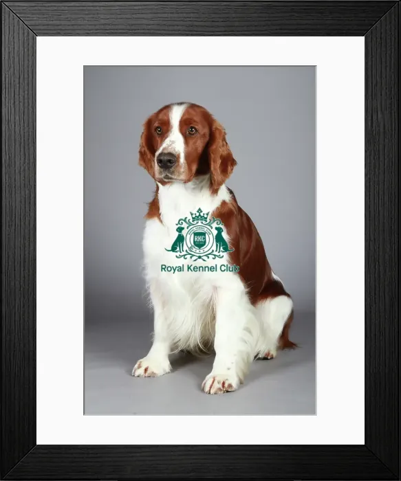 Framed Print : stock images, stock, KCPL, KCPL_Stock, commerical Framed Print : stock images, stock, KCPL, KCPL_Stock, commerical