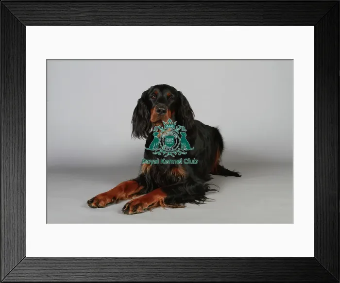 Framed Print : stock images, stock, KCPL, KCPL_Stock, commerical Framed Print : stock images, stock, KCPL, KCPL_Stock, commerical