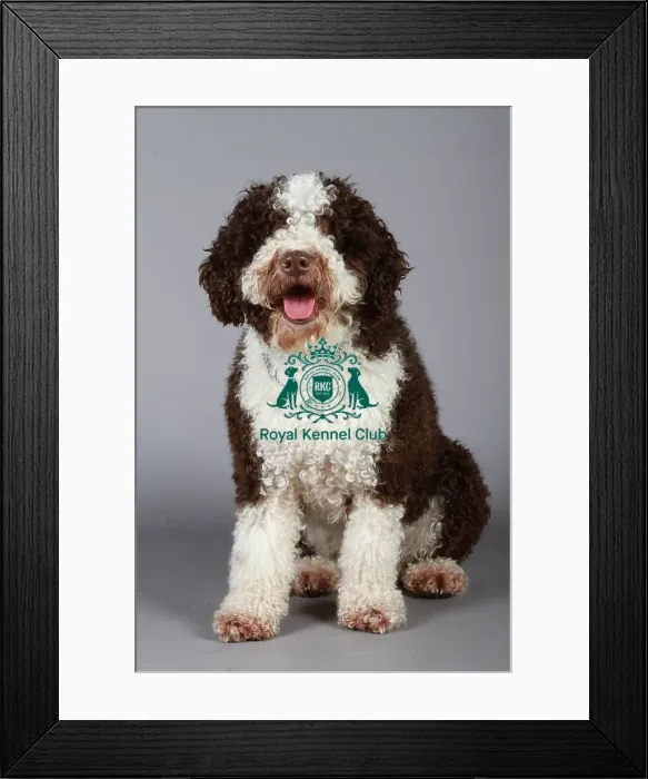 Framed Print : stock images, stock, KCPL, KCPL_Stock, commerical Framed Print : stock images, stock, KCPL, KCPL_Stock, commerical