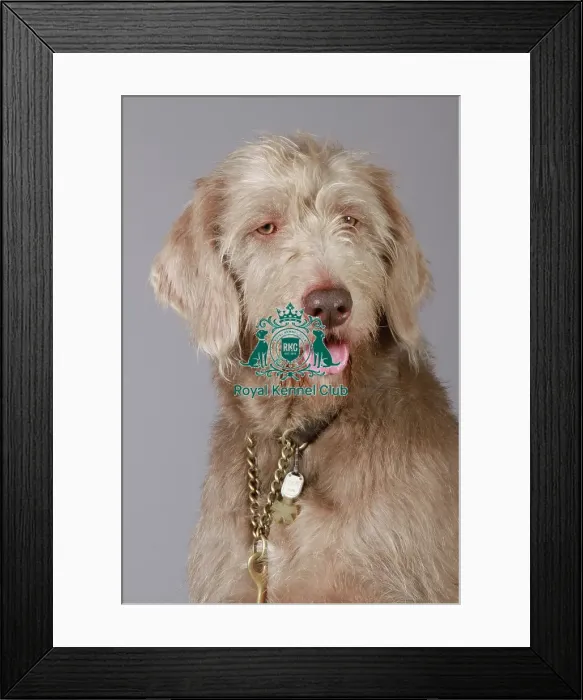 Framed Print : stock images, stock, KCPL, KCPL_Stock, commerical Framed Print : stock images, stock, KCPL, KCPL_Stock, commerical