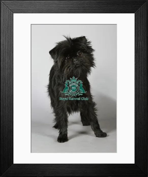 Framed Print : stock images, stock, KCPL, KCPL_Stock, commerical Framed Print : stock images, stock, KCPL, KCPL_Stock, commerical