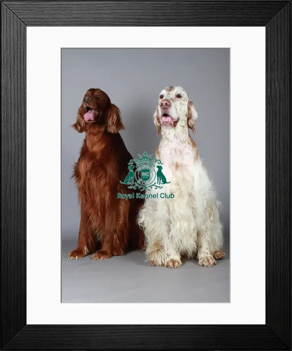 Framed Print : stock images, stock, KCPL, KCPL_Stock, commerical Framed Print : stock images, stock, KCPL, KCPL_Stock, commerical