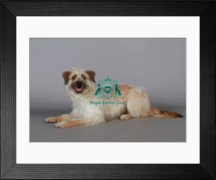 Framed Print : stock images, stock, KCPL, KCPL_Stock, commerical Framed Print : stock images, stock, KCPL, KCPL_Stock, commerical