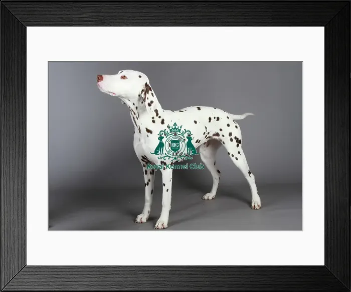Framed Print : stock images, stock, KCPL, KCPL_Stock, commerical Framed Print : stock images, stock, KCPL, KCPL_Stock, commerical
