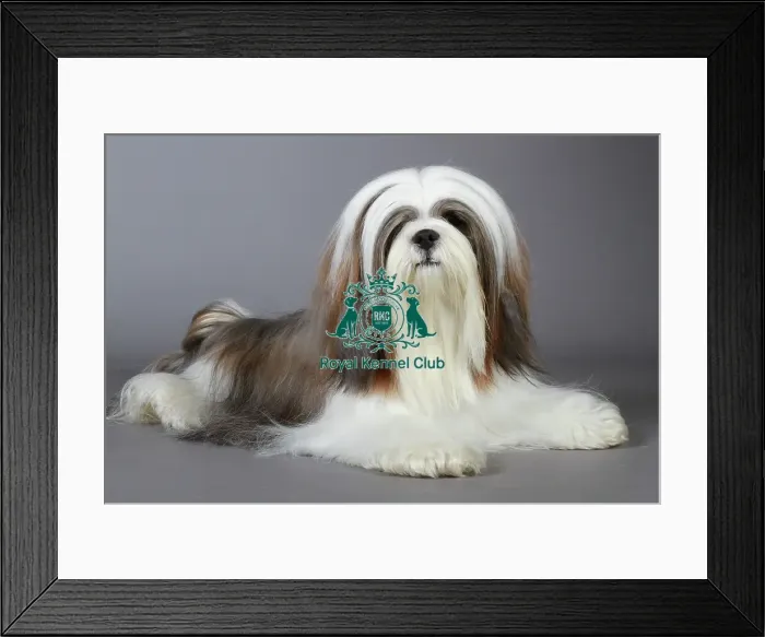 Framed Print : stock images, stock, KCPL, KCPL_Stock, commerical Framed Print : stock images, stock, KCPL, KCPL_Stock, commerical