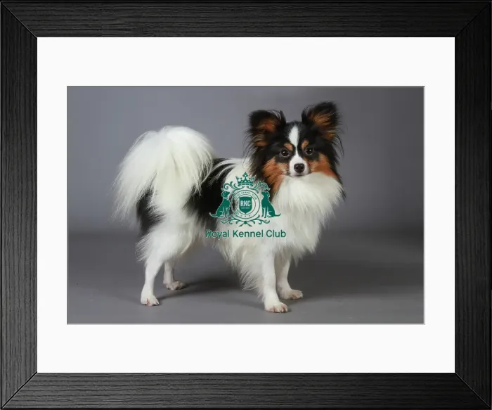 Framed Print : stock images, stock, KCPL, KCPL_Stock, commerical Framed Print : stock images, stock, KCPL, KCPL_Stock, commerical