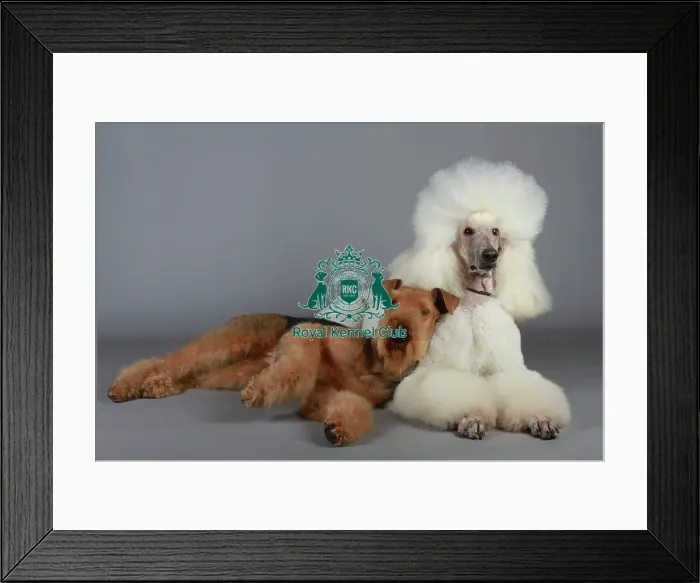Framed Print : stock images, stock, KCPL, KCPL_Stock, commerical Framed Print : stock images, stock, KCPL, KCPL_Stock, commerical