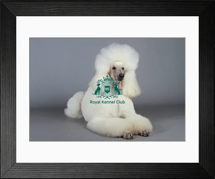 Framed Print : stock images, stock, KCPL, KCPL_Stock, commerical Framed Print : stock images, stock, KCPL, KCPL_Stock, commerical