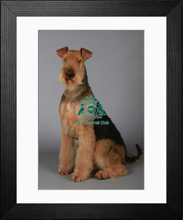 Framed Print : stock images, stock, KCPL, KCPL_Stock, commerical Framed Print : stock images, stock, KCPL, KCPL_Stock, commerical