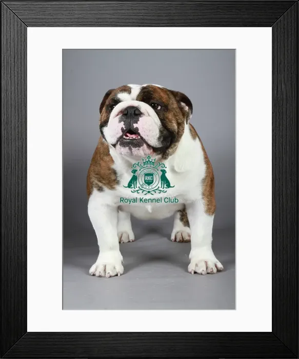 Framed Print : stock images, stock, KCPL, KCPL_Stock, commerical Framed Print : stock images, stock, KCPL, KCPL_Stock, commerical