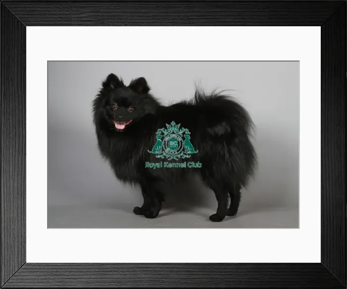 Framed Print : stock images, stock, KCPL, KCPL_Stock, commerical Framed Print : stock images, stock, KCPL, KCPL_Stock, commerical