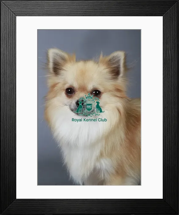 Framed Print : stock images, stock, KCPL, KCPL_Stock, commerical Framed Print : stock images, stock, KCPL, KCPL_Stock, commerical