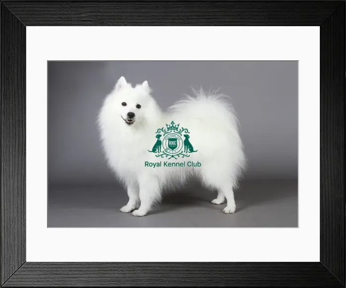 Framed Print : stock images, stock, KCPL, KCPL_Stock, commerical Framed Print : stock images, stock, KCPL, KCPL_Stock, commerical