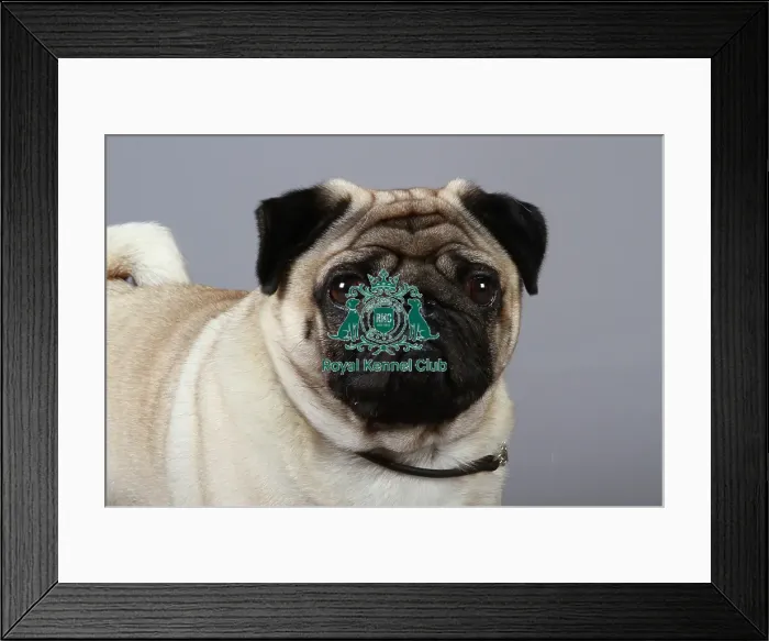 Framed Print : stock images, stock, KCPL, KCPL_Stock, commerical Framed Print : stock images, stock, KCPL, KCPL_Stock, commerical