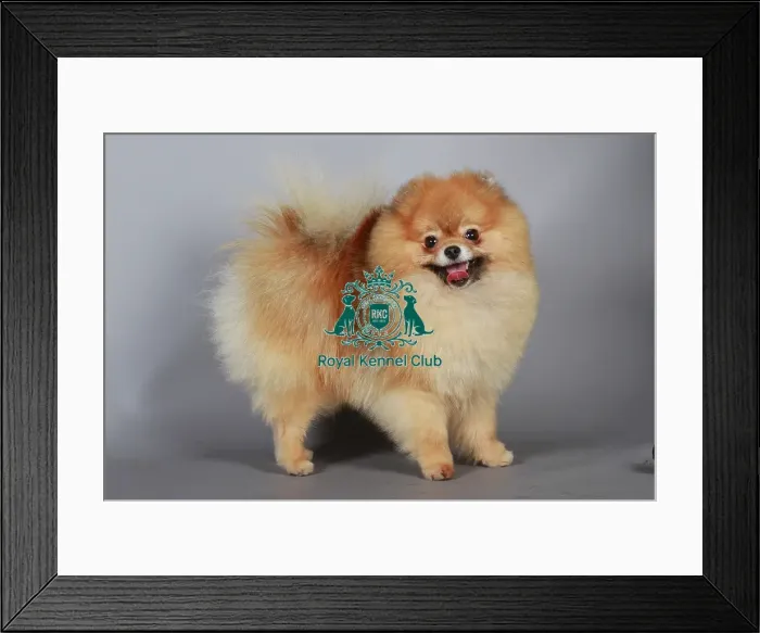Framed Print : stock images, stock, KCPL, KCPL_Stock, commerical Framed Print : stock images, stock, KCPL, KCPL_Stock, commerical